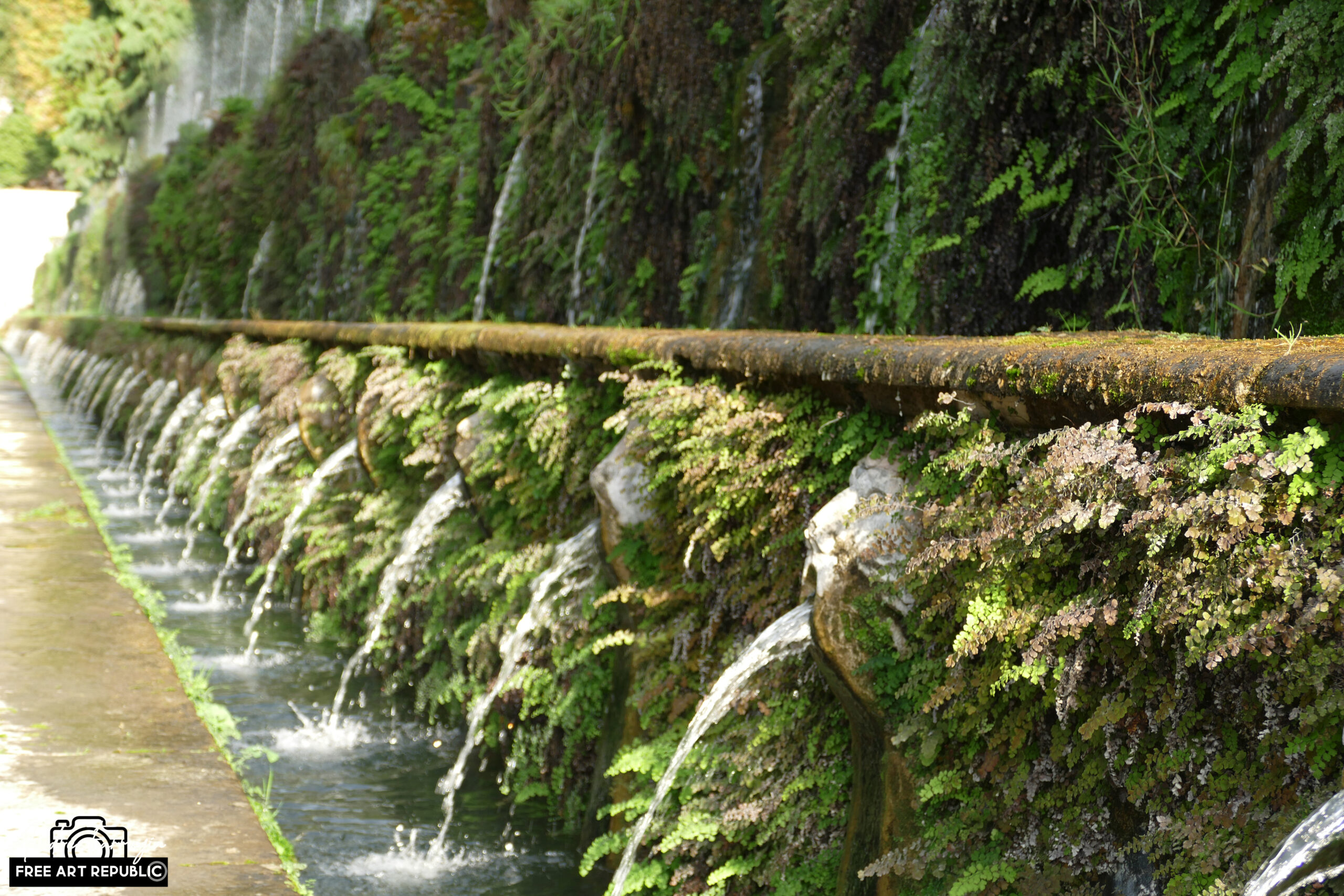 Lire la suite à propos de l’article La Villa d&rsquo;Este – Tivoli -Italie